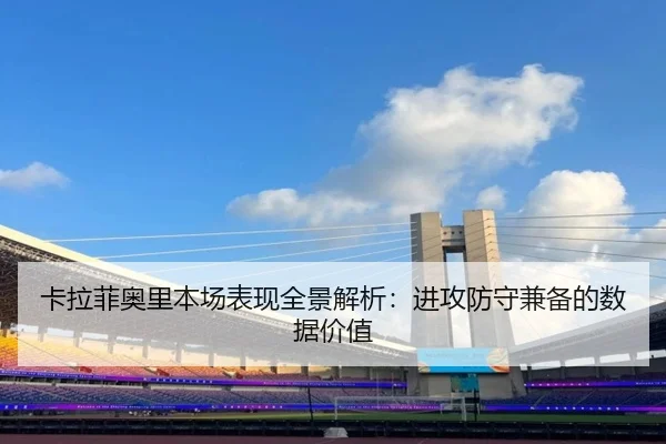卡拉菲奥里本场表现全景解析：进攻防守兼备的数据价值